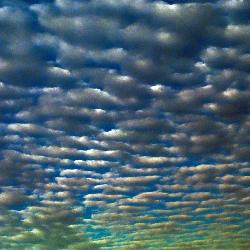 One Last Routine (Fru Fru is dead)