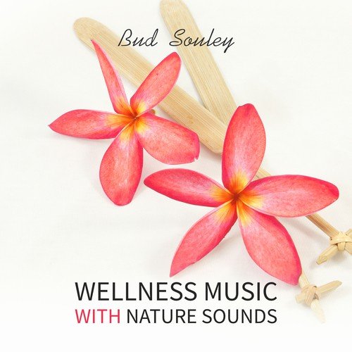 Tranquility Spa Universe cover art