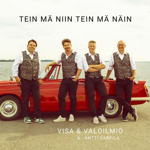 Tein Mä Niin Tein Mä Näin (feat. Antti Sarpila) cover art