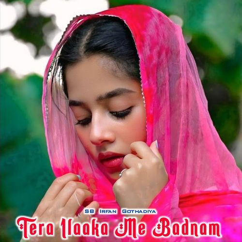 Tera Ilaaka Me Badnam