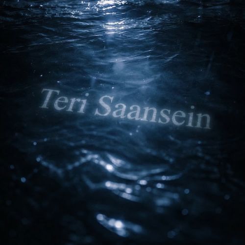 Teri Saansein
