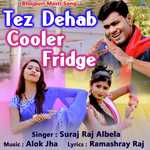 Tez Dehab Cooler Fridge