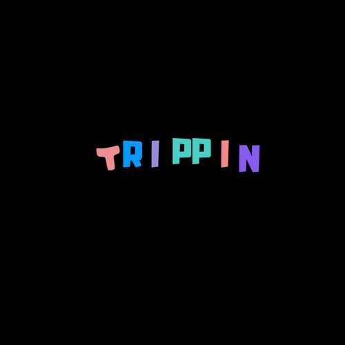 Trippin_poster_image