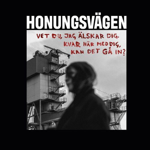 Ömsa skinn
