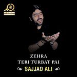 sajjad ali old hindi mp3 songs free download