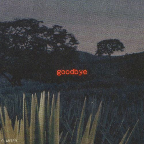 goodbye