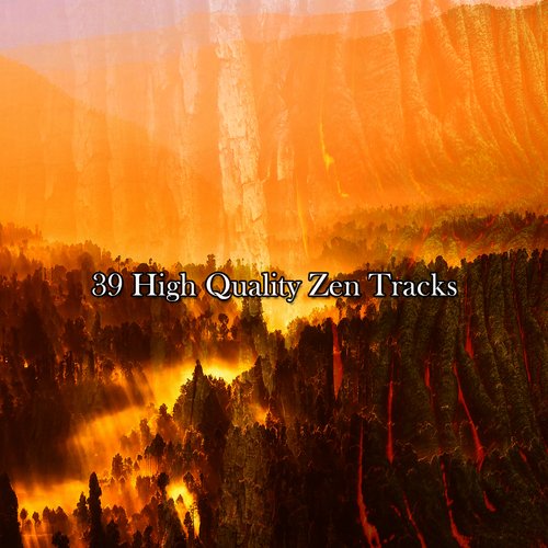 39 High Quality Zen Tracks