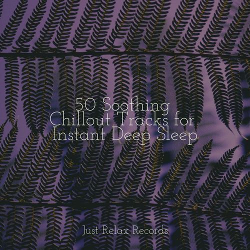 50 Soothing Chillout Tracks for Instant Deep Sleep_poster_image