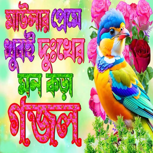 Allah Tomai Dakar Moto Dakte Jani Na