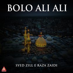 Syed Zill E Raza Zaidi