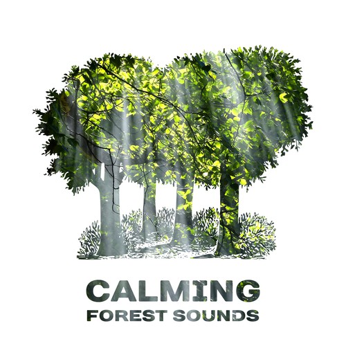 Nature Sounds cover art