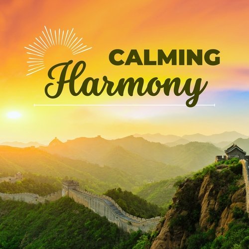 Calming Harmony: Soothing Sounds for Anxiety and Stress Relief_poster_image