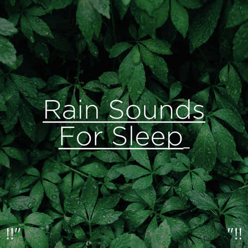 !!" Deep Sleep Rain "!!