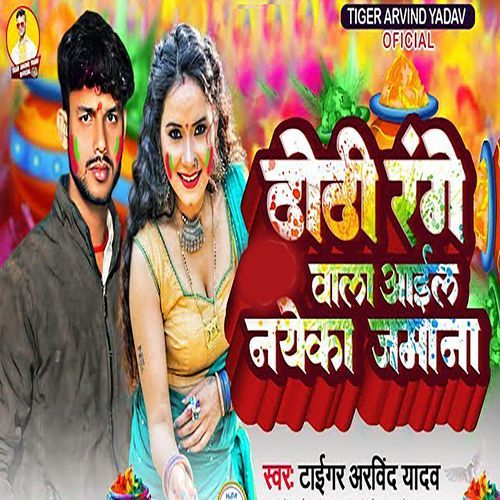 Dhodi Range Vala Aail Nayeka Jamana cover art