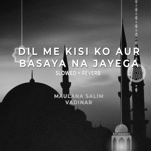 Dil Me Kisi Ko Aur Basaya Na Jayega (Lofi-Mix)