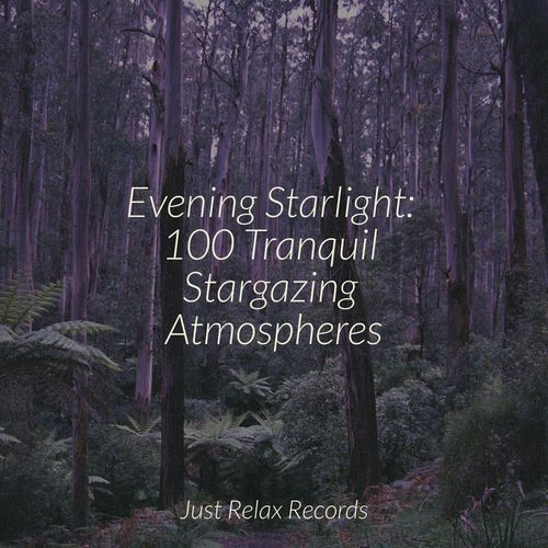 Euphonic Tranquility Medley cover art