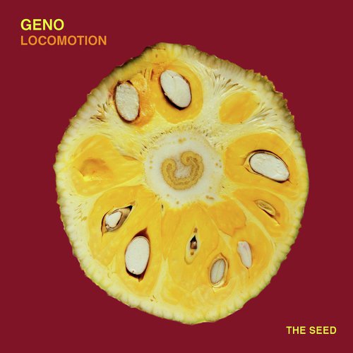 Locomotion