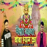 Mela Aaya Baba Shyam Ka