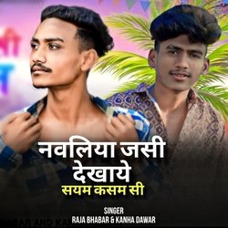 Naliya Jashi Dekhaye Sayma Kasam Si