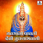 Sakalchya Pari Aali Ambechi Swari