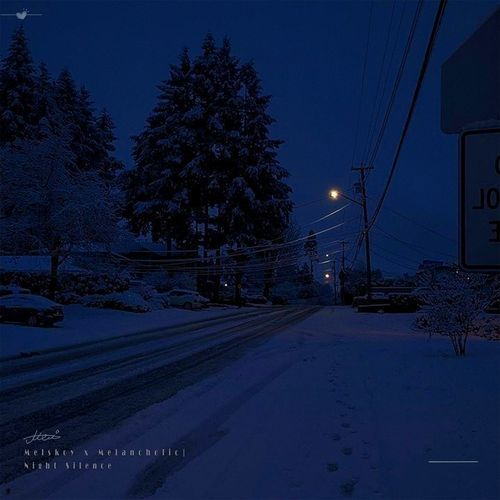Night Silence