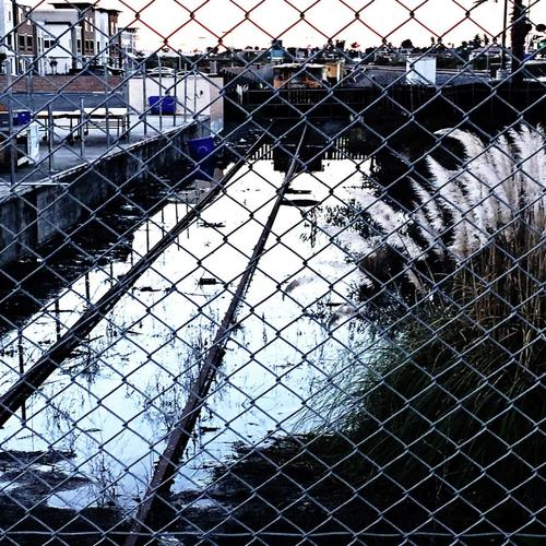 Clerical Photographer cover art