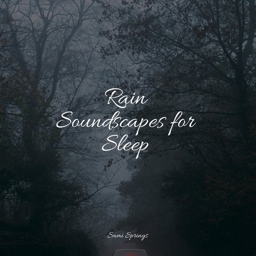 Rain Soundscapes for Sleep_poster_image