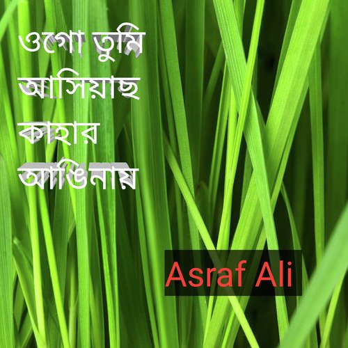 ওগো তুমি আসিয়াছ কাহার আঙিনায় (Re-recorded)