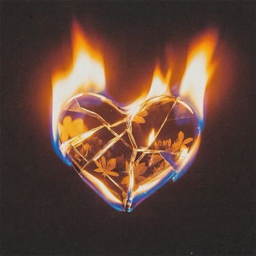 CASANOVA cover art
