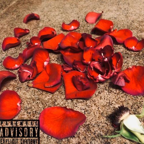Played cover art