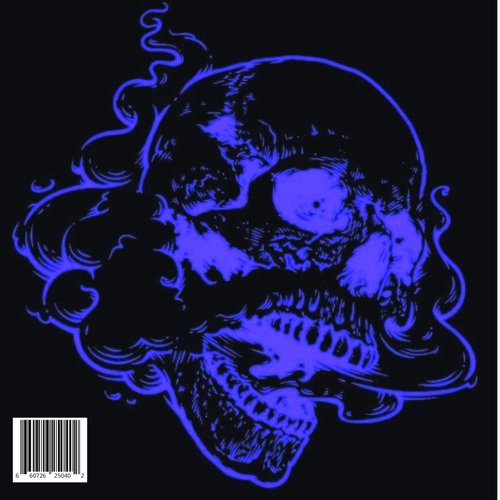 SKULL ON FIRE: DISTANT D TUDO cover art