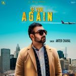 Se You Again