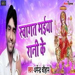 Swagat Maiya Rani Ke artwork