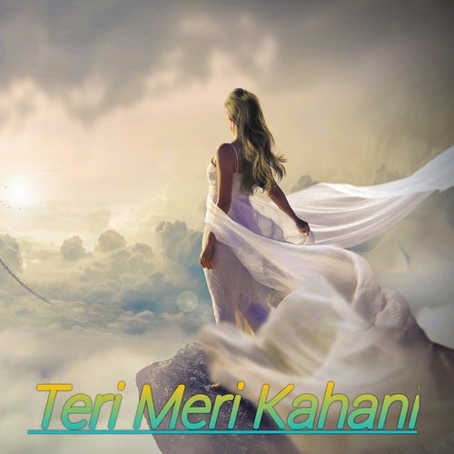 Teri Meri Kahani