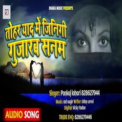 Tohar Yaad Me Jinagi Gujarab Sanam-SAcSUC4Be1A