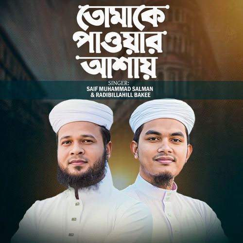 Tomake Pawar Ashay cover art