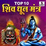 Shree Shivay Namastubhyam