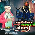 Vare Vela Aavo Masani Meldi