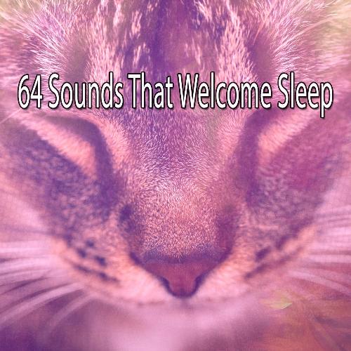 64 Sounds That Welcome Sleep