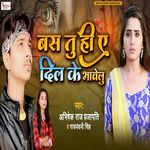 Bas Tu Hi Ye Dil Ke Bhawelu