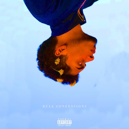 Bull Confessions cover art