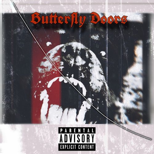 Butterfly Doors cover art