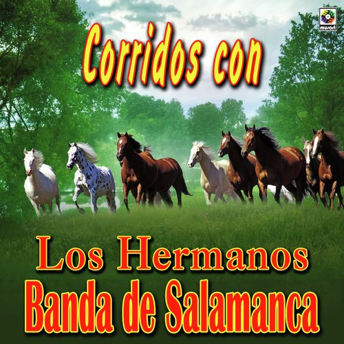 Corrido De Los Pérez cover art