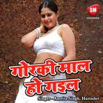 Vidio Camera Hamar
