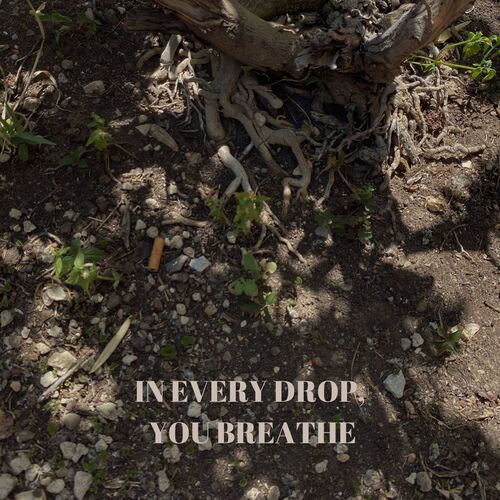 In every drop, you breathe_poster_image