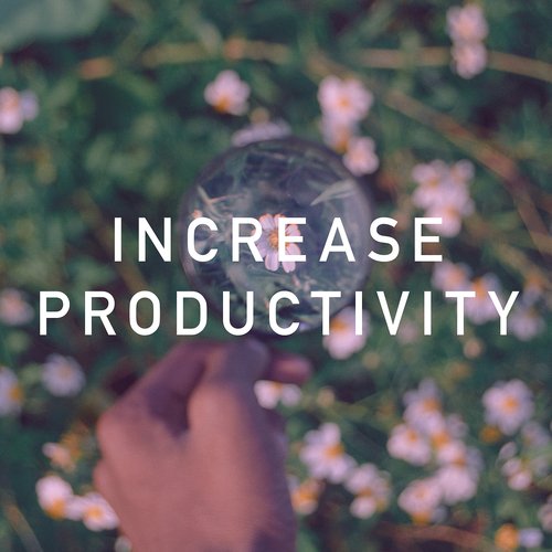 Increase Productivity