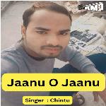 Jaanu O Jaanu