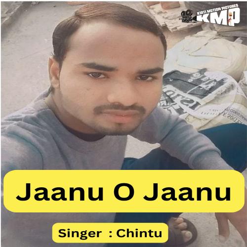 Jaanu O Jaanu