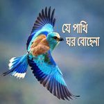 Je Pakhi Ghor Bojhena