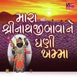 Mara Shreeji Bawa Ne Ghani Khamma